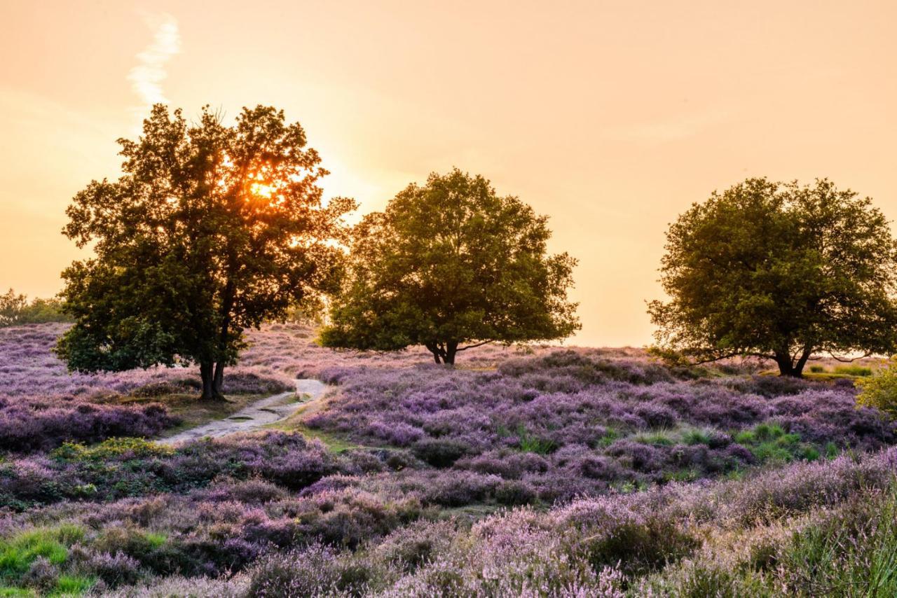 Vakantie Bij Meeussen - Schuttersoord Mook Esterno foto